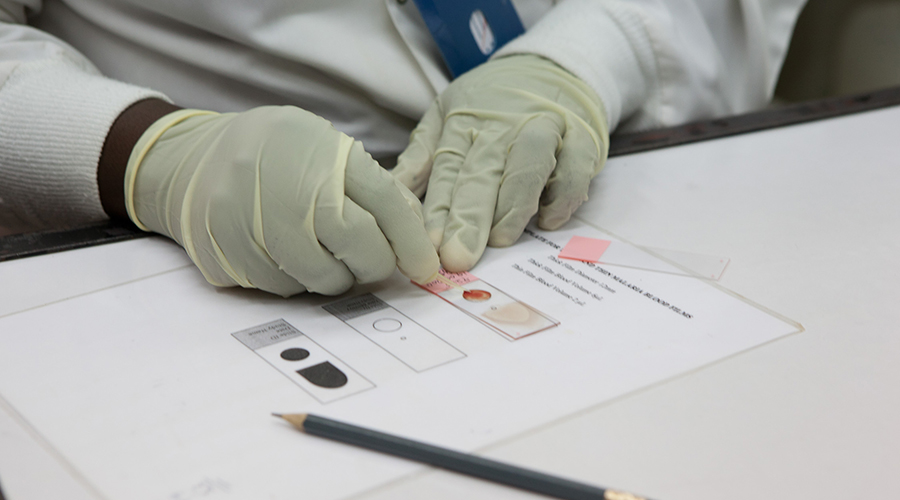 GSK PULSE staff working at the GSK-sponsored Kombewa malaria clinical trial site in western Kenya