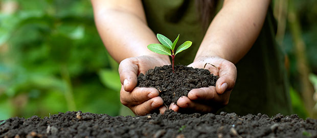 Person holding earth and plant environmental concept