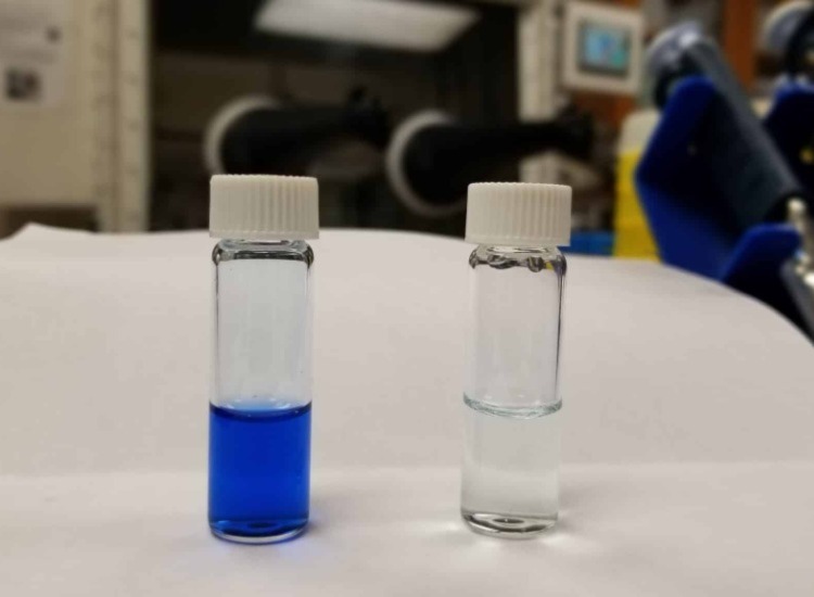 SCI News - 22 August 2022 - image of two vials, 1 with dyed blue water, 1 with clear water