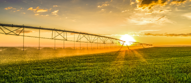 Farming field