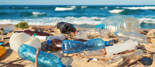 Plastic waste on beach shore
