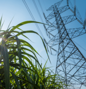 /-/media/images/news/2022/9/bioenergy_listing.ashx?h=300&w=290&hash=DE8C34DA648C3FD2265E9B545D46BE0A