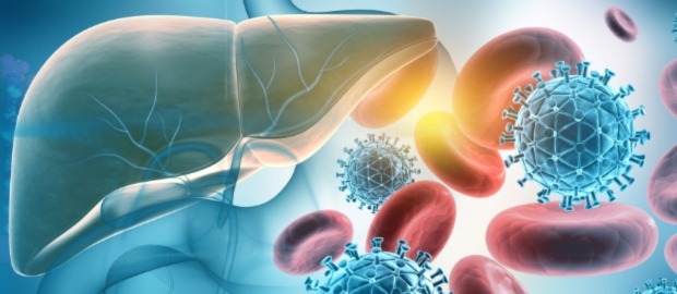 PoliSCI - 15 September 2022 - image of liver, blood cells and hepatitis virus