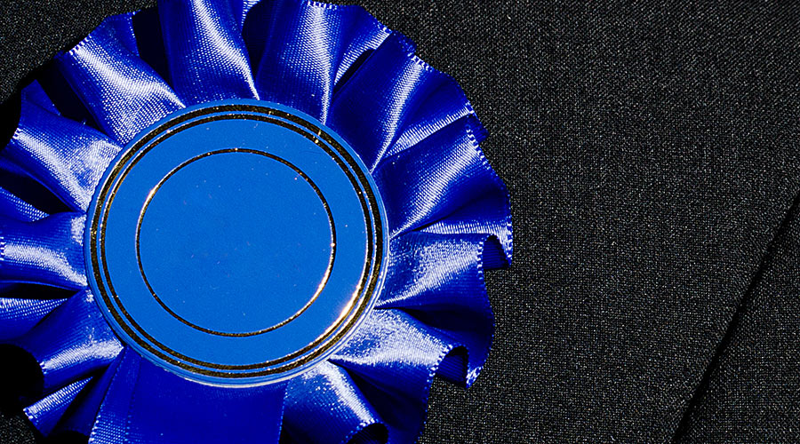 Blue rosette