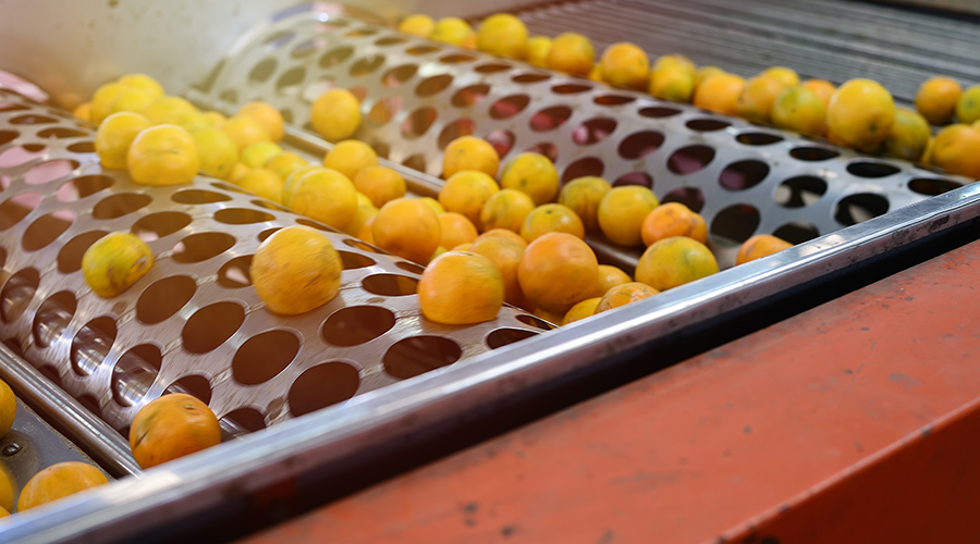 Soft-focus Introduction of orange juice processing Line