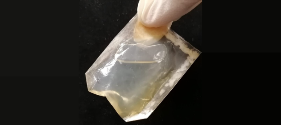 Packet of oil made from bacterial cellulose derived composite