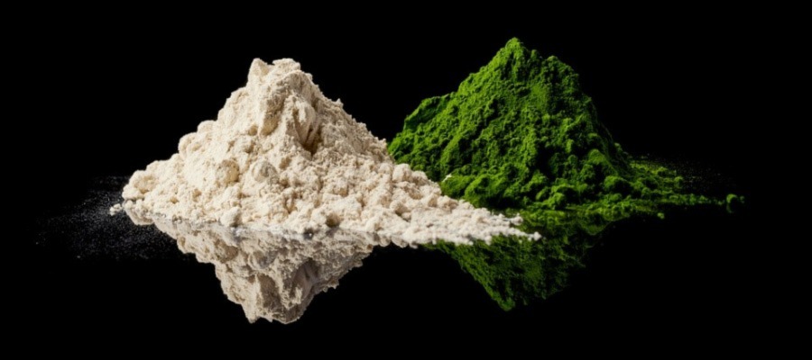 White and green chlorella against black background