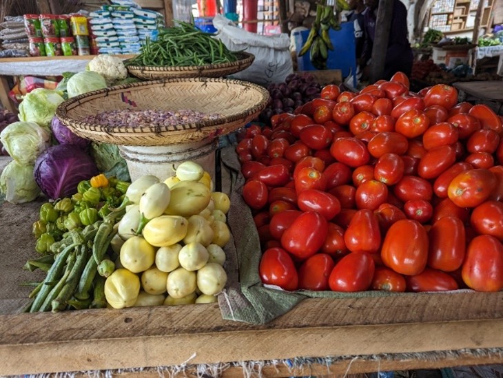 Display of the African eggplant with other vegetables at a market
