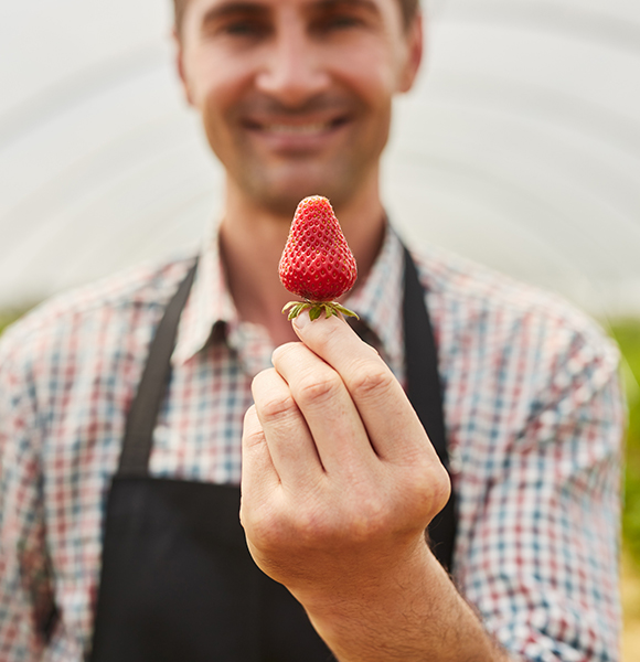 /-/media/images/news/2023/9/strawberry_listing.ashx?h=600&w=580&hash=39BFEE3CDC3A5DC7A30C5B9D1854174AE4E6C67A