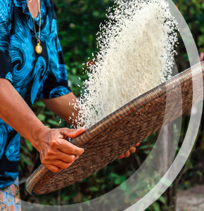 /-/media/images/news/2023/daily-digest/052323.ashx?h=300&w=290&hash=65B8ED4172523414F7A02D5474A0EEB8C8A88277