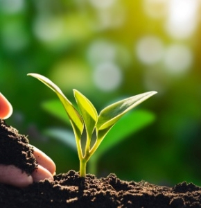 Bayer and Silal extend sustainable agriculture partnership