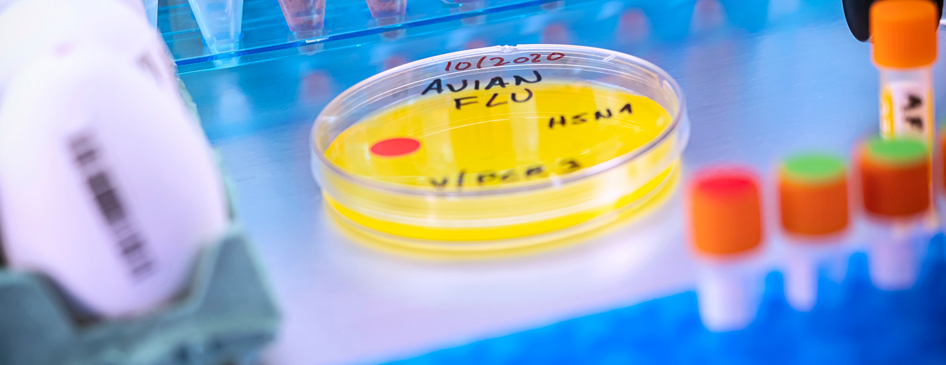 The EC has secured preventative zoonotic avian influenza vaccine