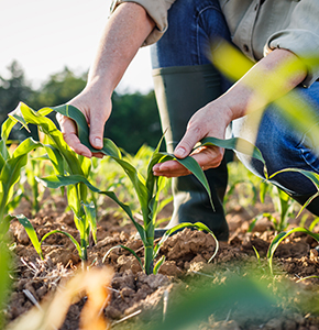 /-/media/images/news/2025/4/farming_listing.ashx?h=300&w=290&hash=13D21015833DA2B459F33FFD07469783