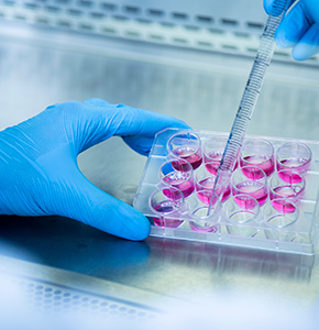 /-/media/images/news/2025/4/medicalresearchlab_listing.ashx?h=300&w=290&hash=AE46DAC031A4467840B7157FC44844B0