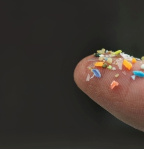 /-/media/images/news/2025/4/microplastics_listing-(1).ashx?h=300&w=290&hash=9E4297900435C915C4E1595C71571812