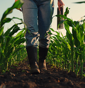 /-/media/images/news/2025/5/farmerfield_listing.ashx?h=300&w=290&hash=111E0B767B0693F740D7667DCE498C9C