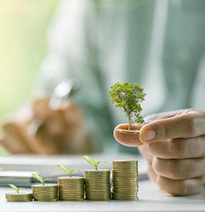 /-/media/images/news/2025/5/stacking-trees-on-coins-sustainability-finance-listing.ashx?h=300&w=290&hash=267025BAD193047F57F03F92C1A3EBB5