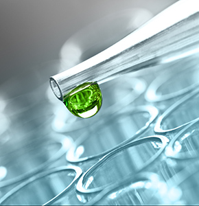 Major green chemistry project targets four key areas