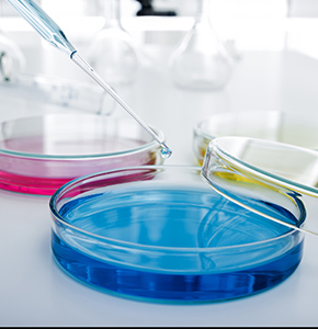 /-/media/images/news/2025/6/pipette_listing.ashx?h=300&w=290&hash=D1DF5C4489B5D27D411B97316BE8A838