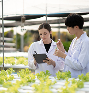 /-/media/images/news/2025/6/researchers-in-agriculture_listing.ashx?h=300&w=290&hash=78D4A43BFF908C1E111A20EBB22C4CEF