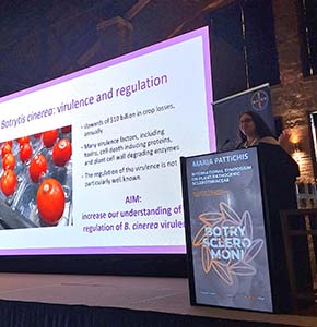 /-/media/images/news/2025/7/maria-pattichis-presenting-at-conference.ashx?h=300&w=290&hash=D348253545FD834DDA72D77041E50972