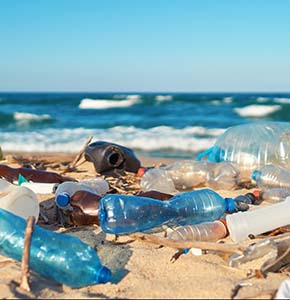 /-/media/images/news/2025/7/waste-plastic-bottles-on-beach-listing.ashx?h=300&w=290&hash=1CAB3C86C8800DC666B2A27A781D597E