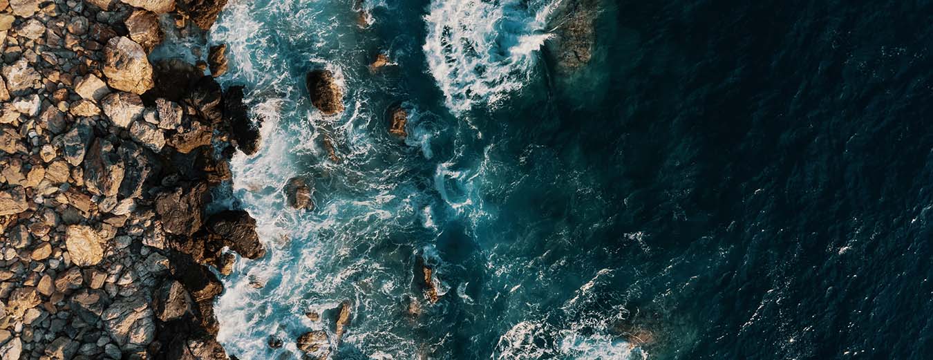 How microplastics are affecting the oceans’ ability to absorb CO2