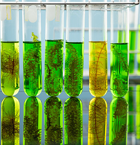 /-/media/images/news/2026/10/biotech_listing.ashx?h=300&w=290&hash=B579ACDB7BE2113799F6DBE084B21960