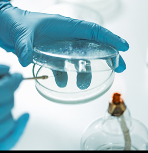 /-/media/images/news/2026/2/amrresearch_listing.ashx?h=300&w=290&hash=4F9DDDA4D5F1D011C53814221690CA3A