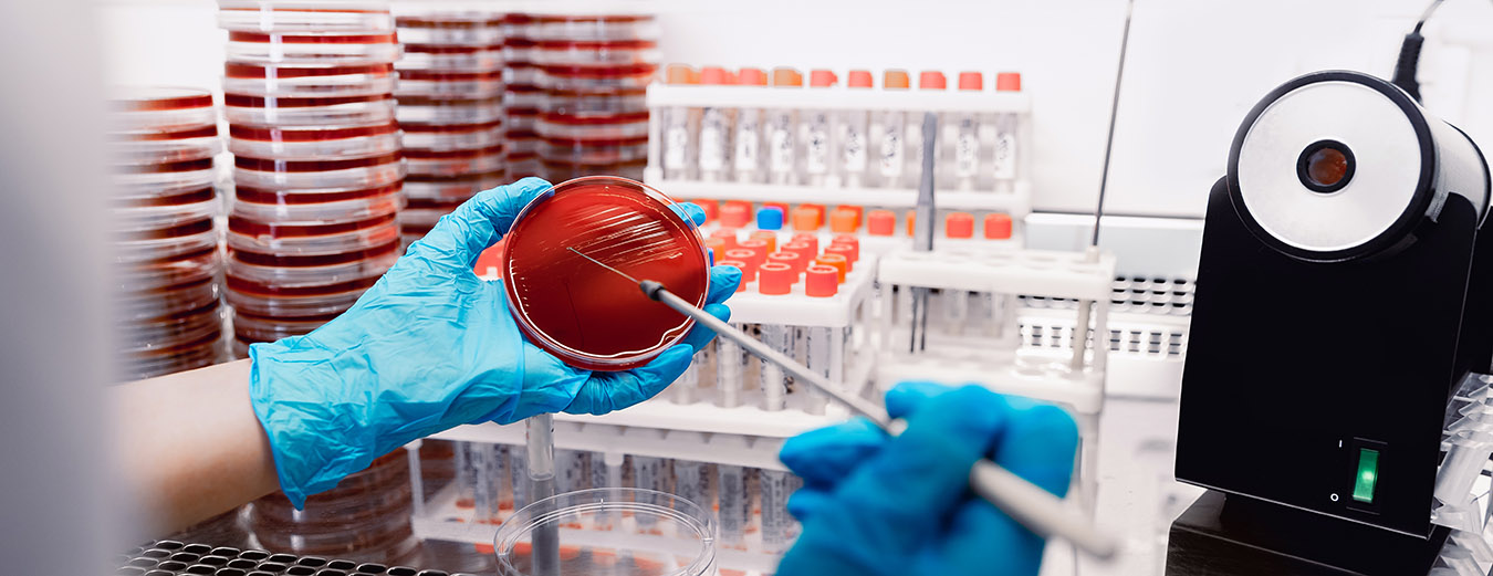 AMR: The R&D pipeline for tackling antimicrobial resistance is ...