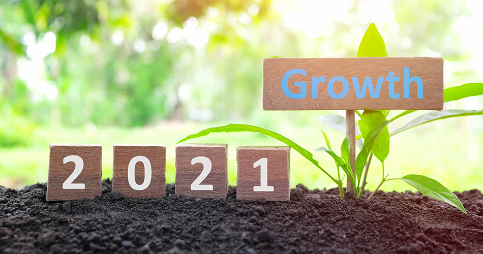 SCIblog - 14 January 2021 - 2021: ‘A year to look forward to.’ - image of a plant with a sign saying 'Growth 2021'
