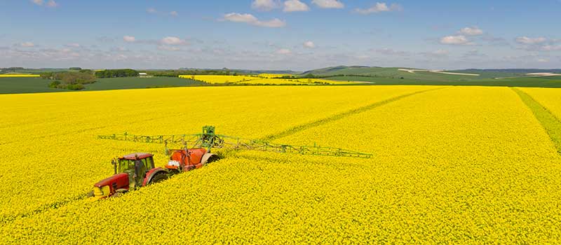 Aerial tractor spraying oil seed rape crop