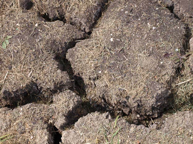 desiccated cracked soil