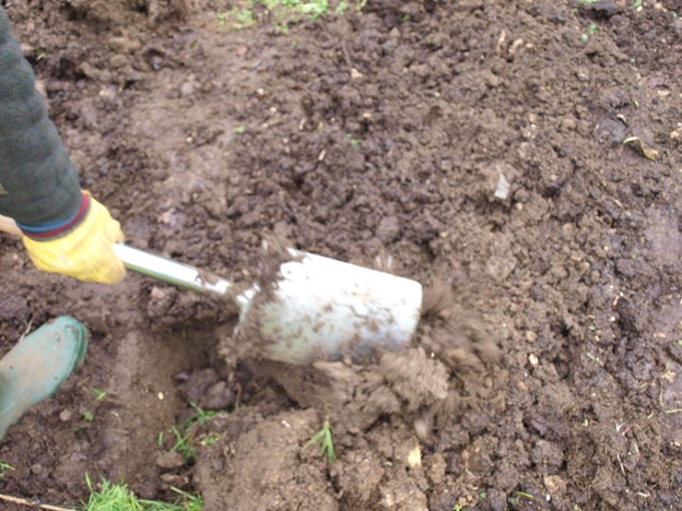 SCIblog - 7 December 2021 - The December Garden by Prof Geoff Dixon - Caption 3 image of turning the soil