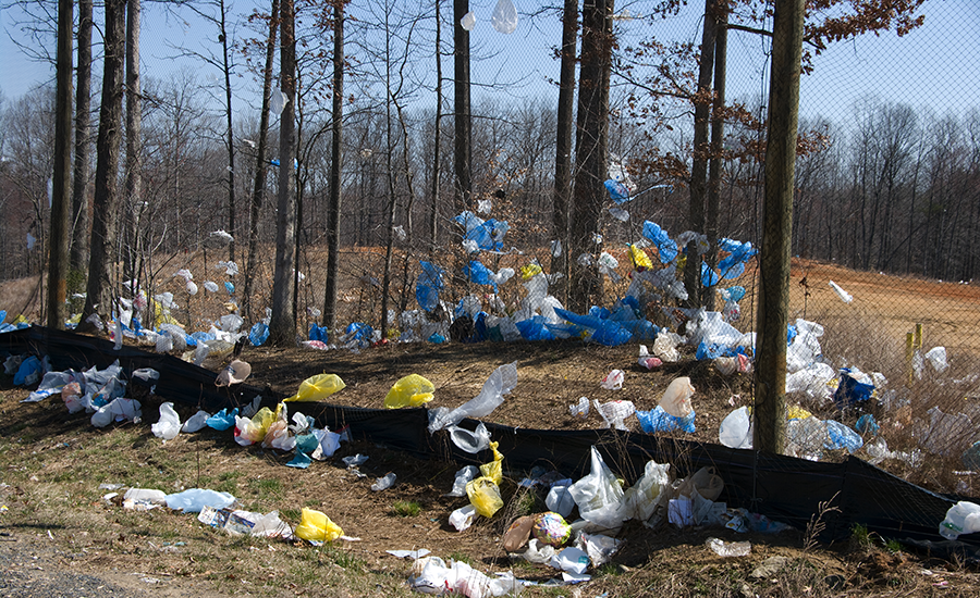 SCIblog 11 February 2021 - image of plastic waste in nature