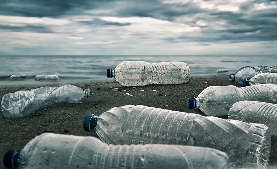 SCIblog 11 February 2021 - image of plastic bottles on a beach