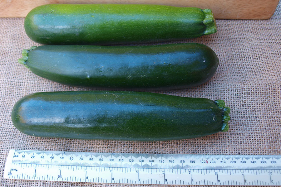 SCIblog 29 March 2021 - Illustration 3 - image of courgette fruit ready for the table