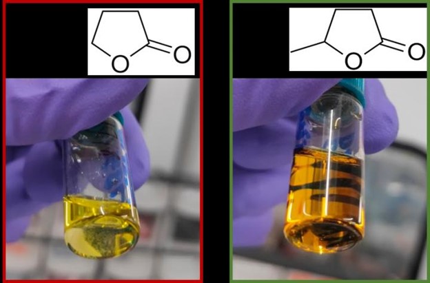 SCIblog - 25 May 2021 - Sharpening Solar - image of solvents used to make solar cells, one toxic, one green