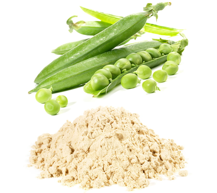 SCIblog - 10 August 2021 - No meat two veg - image of pea protein powder
