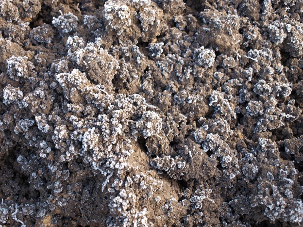 SCIblog - Professor Geoff Dixon - Soil Cultivation - image of Frost action breaking down soil clods