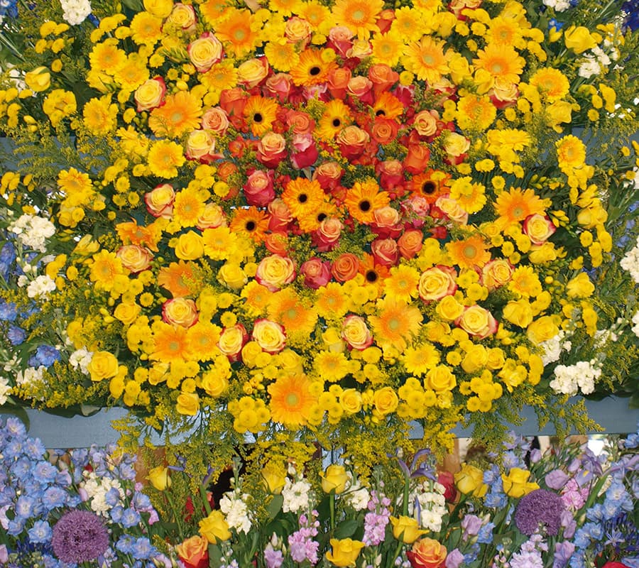 SCIblog - 12 May 2022 - We are what we eat and we are where we live - image of flower display