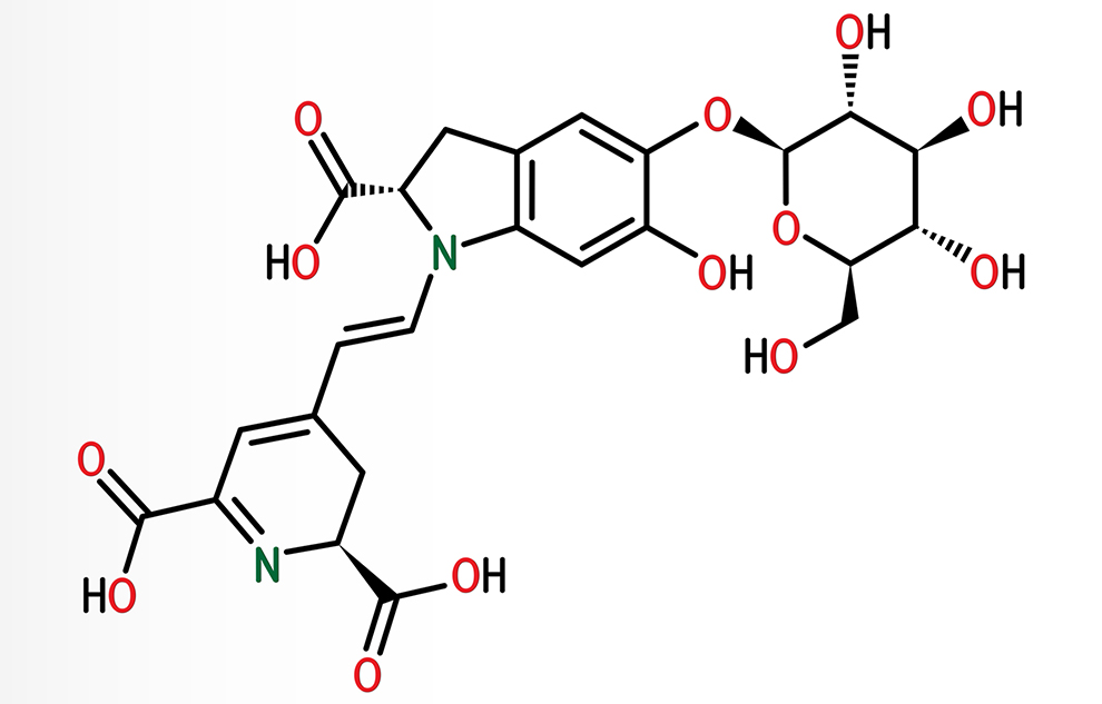 SCI Blog - 15 June 2022 - image of chemical structure of betanin