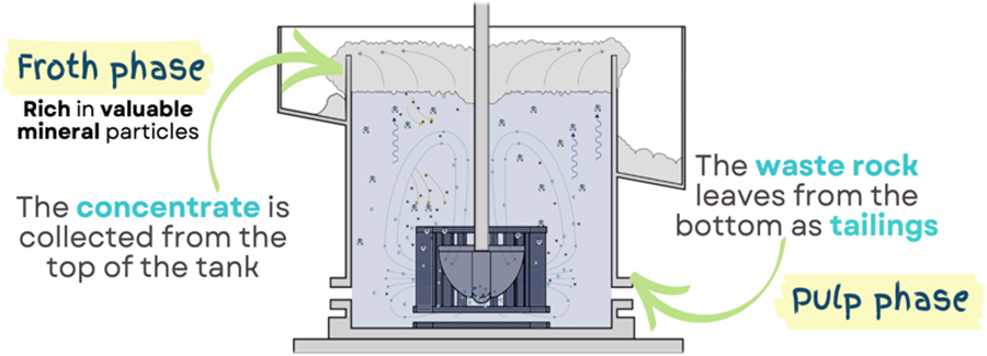 Schematic of the froth flotation process