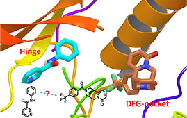 /-/media/images/section/h/highlightsinmedicinalchemistry.ashx?h=170&w=269&hash=08E68230E37FCFC312C7CA2EAA39A132