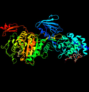/-/media/medicinal_listing.ashx?h=300&w=290&hash=B05C4344B669E0BCBAF756C87F017E890043B33E
