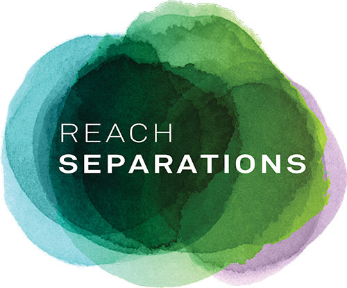 RS logo
